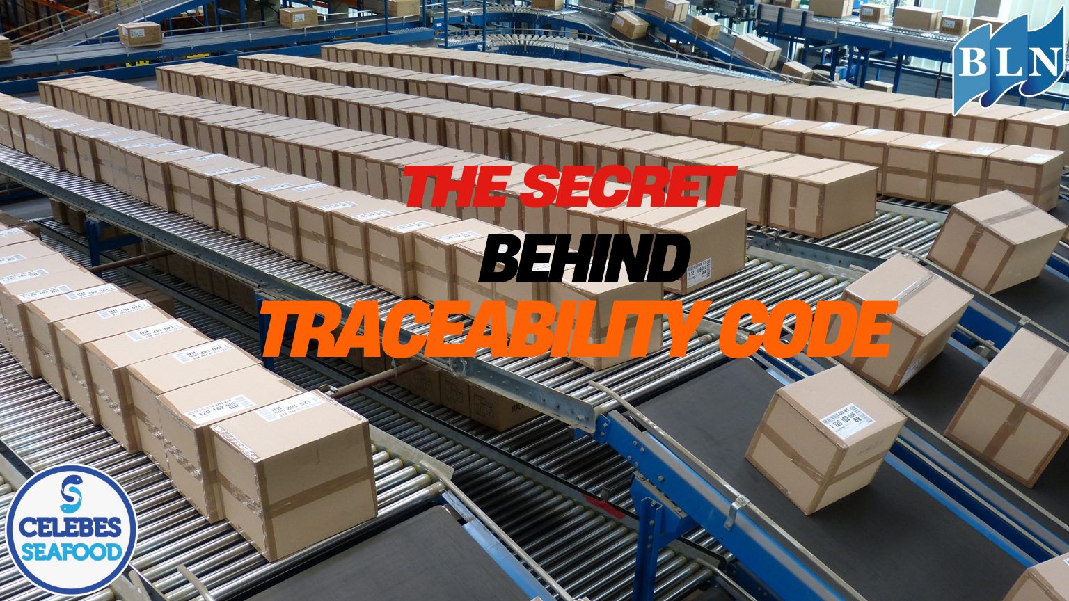 The Secret Behind Traceability Code